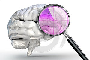 Scan on human brain with magnifying glass radar