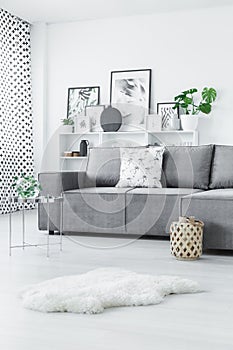 Scandi grey living room interior