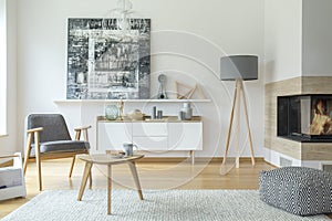 Scandi grey living room interior