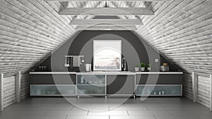 Scandinavia industrial kitchen, loft mezzanine, roof architecture white and gray interior design