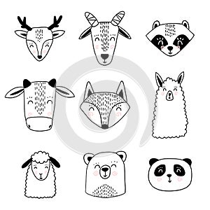 Scandinavian animals. Nordic cute animal set. Vector hand drawn panda