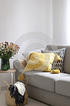 Scandinavian autumn inspired home decor - cozy Living room, Sofa Cushion, traw basket, mums flowers bouquet, hygge style