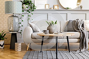 Scandinavian concept of living room interior with design sofa, coffee table, plant in pot, lamp, carpet, plaid, pillow, shelf. photo