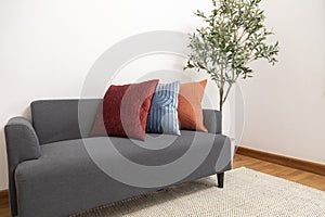 Scandinavian interior decoration of grey sofa with blue, red and orange pillow on it.