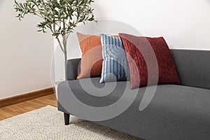 Scandinavian interior decoration of grey sofa with blue, red and orange pillow on it.