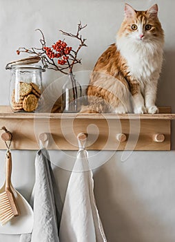 Scandinavian  kitchen - wooden shelf-hanger with a cookie jar, ceramic jug, dried rowan flowers, linen towels  and beautiful red
