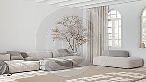 Scandinavian nordic living room in white and beige tones. Velvet sofa with pillows and carpet, potted tree and decors. Minimalist