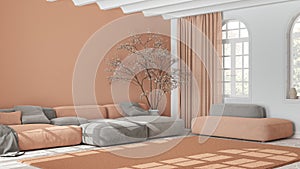 Scandinavian nordic living room in white and orange tones. Velvet sofa with pillows and carpet, potted tree and decors. Minimalist