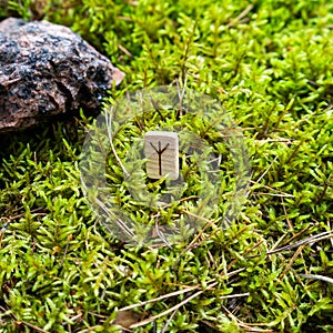 Scandinavian rune Algiz protection, on wet moss.