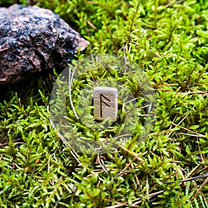 Scandinavian rune Algiz word, advice, on wet moss.