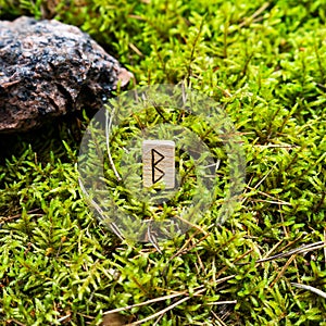 Scandinavian rune of Berkan new idea, baby, on wet moss.