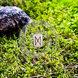 Scandinavian rune Dagaz, denoting a gift, on wet moss.