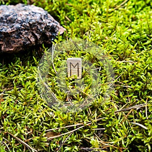 Scandinavian rune Evaz change, on wet moss.