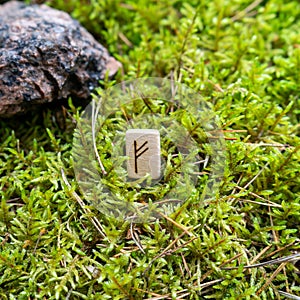 Scandinavian rune Fehu money, on wet moss.