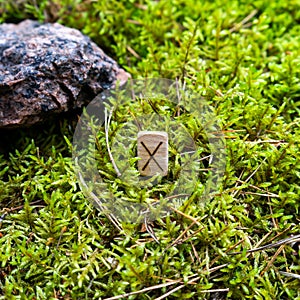 Scandinavian rune Gebo partnership, gift, on wet moss.