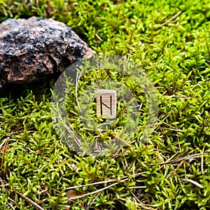 Scandinavian rune Hagal destruction, on wet moss.