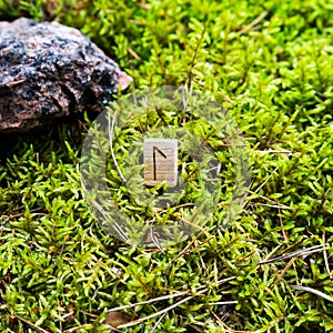 Scandinavian rune Laguz intuition, on wet moss.