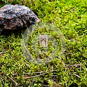 Scandinavian rune Manaz ego on wet moss.