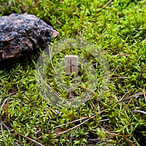 Scandinavian rune Nauthiz need, on wet moss.