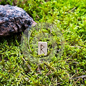 Scandinavian rune Raido, harbinger of travel, on wet moss.