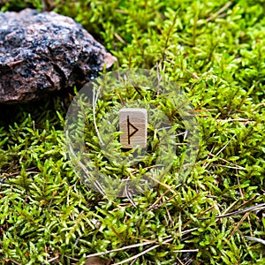 Scandinavian rune Thurisaz tip, on wet moss.