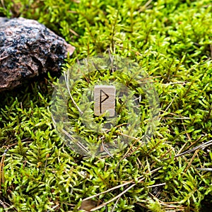 Scandinavian rune Wunjo joy, on wet moss.