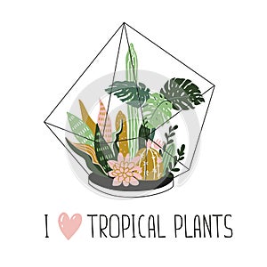 Scandinavian style illustration, home decor. Vector print design with terrarium and lettering - `I love tropical plants`.