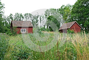 Scandinavian summer, traditional old red houses