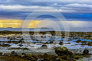 Scandinavian White Night Seascape