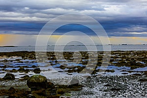 Scandinavian White Night Seascape