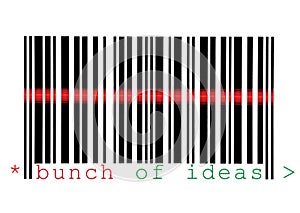 Scanning Bunch of Ideas Barcode Macro Isolated