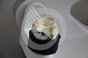 Scanning of casts on a 3D scanner for the manufacture of dentures