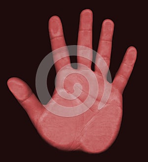 Scanning Hand Biometrics photo