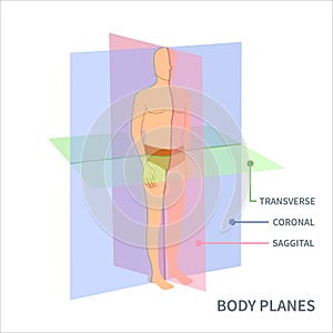 Scanning planes for body orientation position diagram