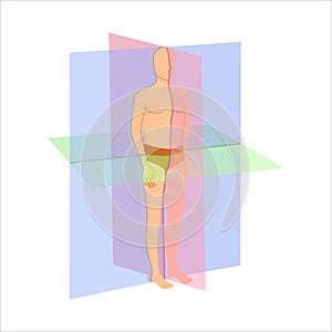 Scanning planes for body orientation position diagram