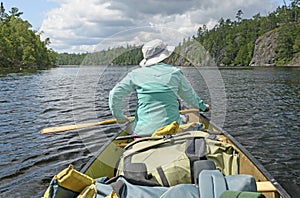 Scanning the Wilderness Landscape