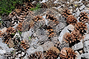 Scanno of mountains, Abruzzo