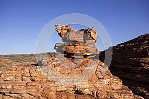 Scant vegetation king Canyon Northern Territory Australia