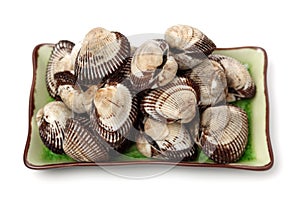 Scapharca subcrenata