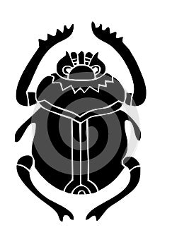Scarab beatle