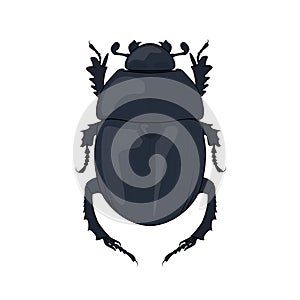 Scarab beetle, ancient symbol of Egypt. Vector scarabaeus bug drawing. Graphic illustration of a sacred egyptian pharaoh insect.