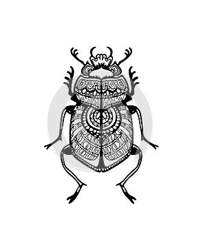 Scarab beetle sketch with ornate tangle pattern