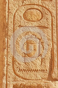 Scarab hieroglyph carving on a wall in the Temple of Queen Hatshepsut in Luxor, Egypt