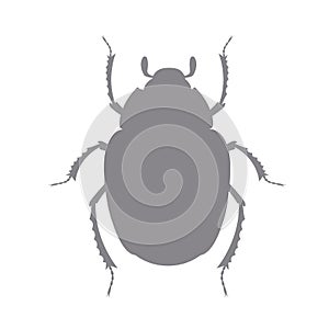 Scarab Silhouette