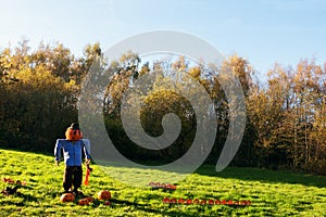 Scare crow in a field