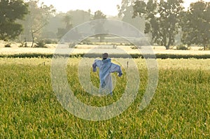 Scare Crow in Wheat Field.