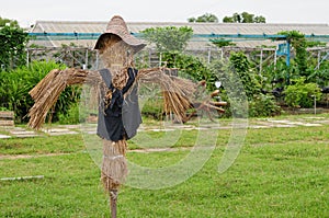 Scarecrow photo