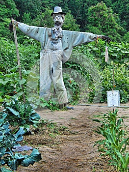 Scarecrow