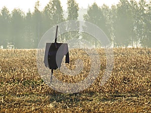 Scarecrow Bogey Man in Beautiful Field Nature Wild Landscape Sunrise with Foggy Mist