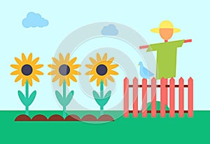 Scarecrow and Sunflower Field Vector Illustration photo
